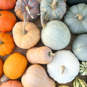 Medium Pumpkin Package