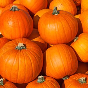 Small Pumpkin Package